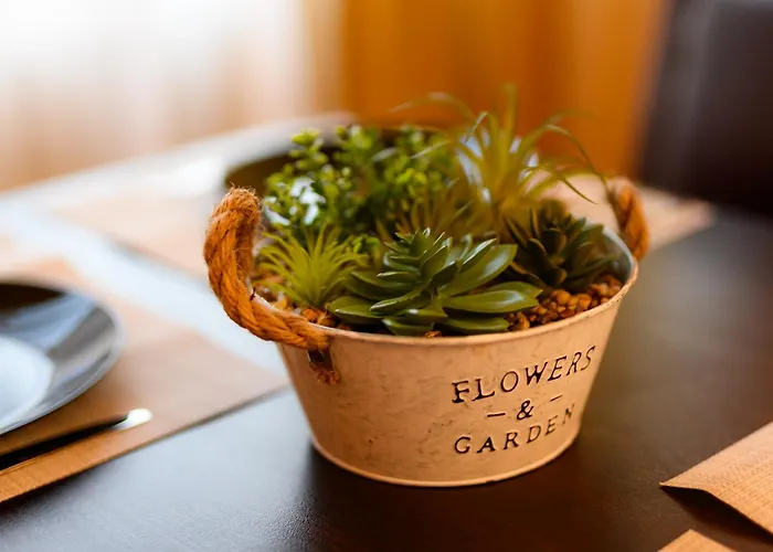 Cozy By Ndk And Vitosha Blvd With Free Secured Parking And Two Terraces アパート ソフィア