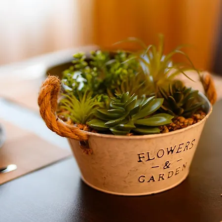 Cozy By Ndk And Vitosha Blvd With Free Secured Parking And Two Terraces Lejlighed Sofia